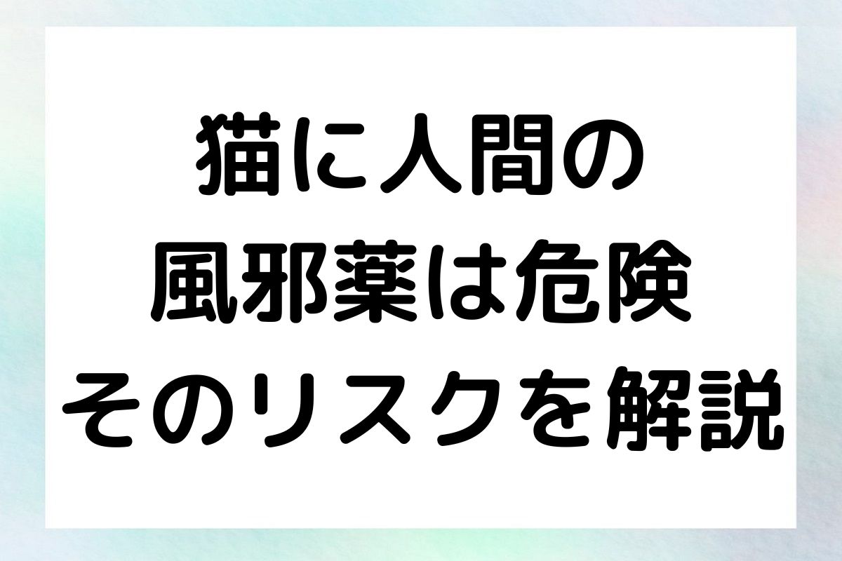 猫に人間の風邪薬を与えることの危険性について詳しく解説します。