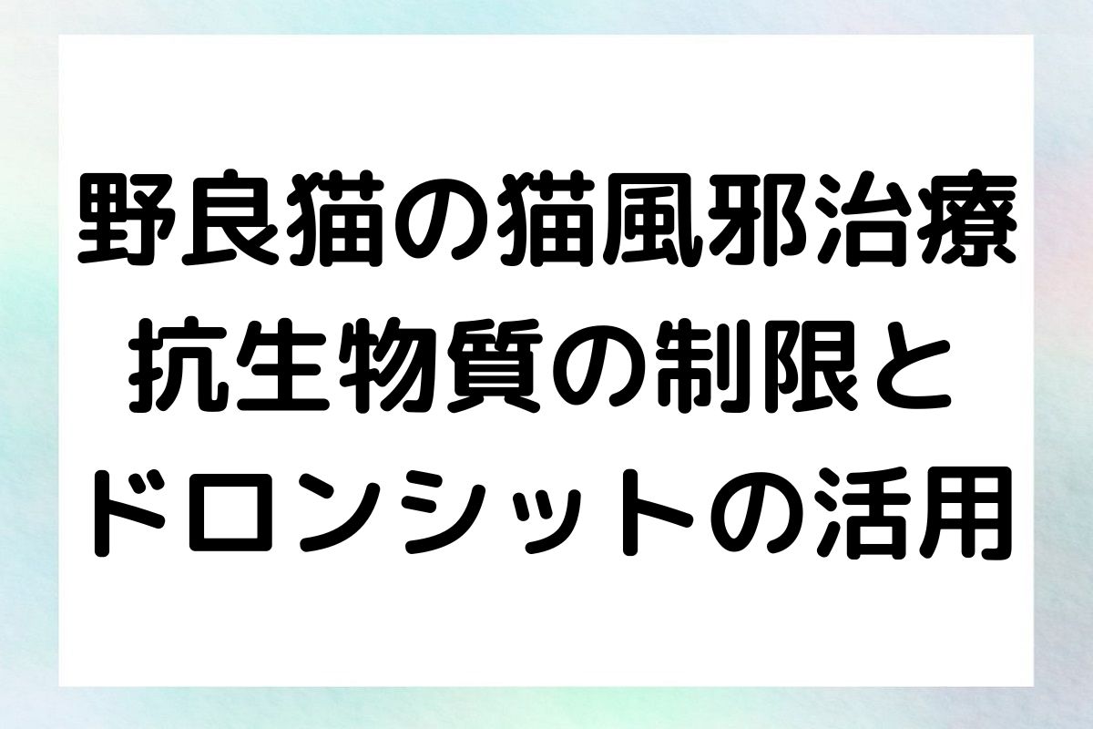 野良猫への猫風邪の薬の選び方と、抗生物質の制限を考慮した上でのドロンシットの使用方法について、実体験を踏まえながら紹介します。