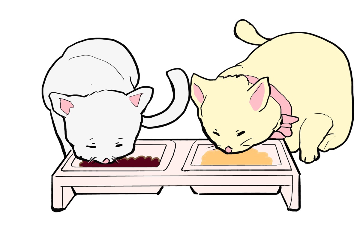 猫の健康を考えたステンレス餌皿の活用法
