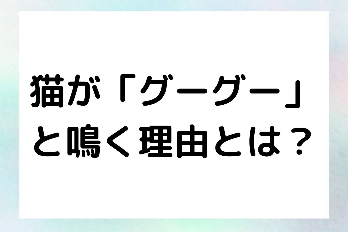 その可愛らしい鳴き声の背後に隠された猫の気持ちや健康状態を解説します。