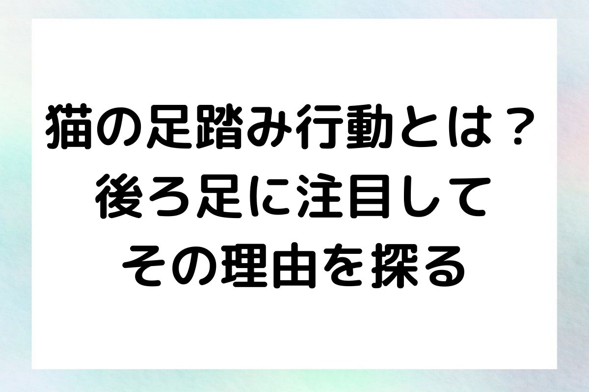 猫が後ろ足で足踏みする理由とその可愛さの秘密を解説します。