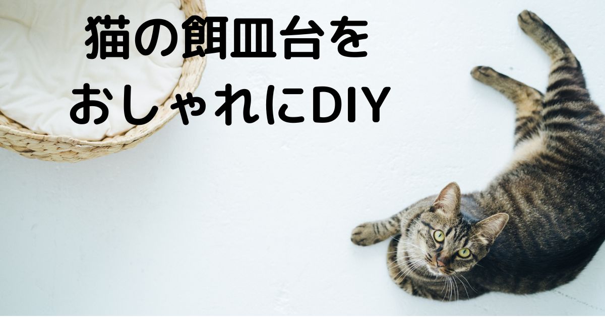 猫の餌皿台をおしゃれにDIY