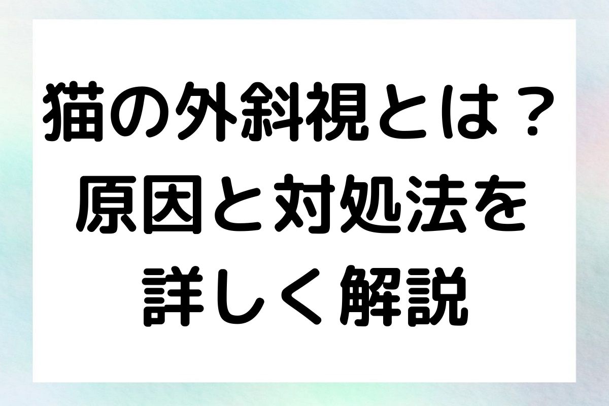 猫の外斜視に関する詳しい情報と対処法を紹介します。