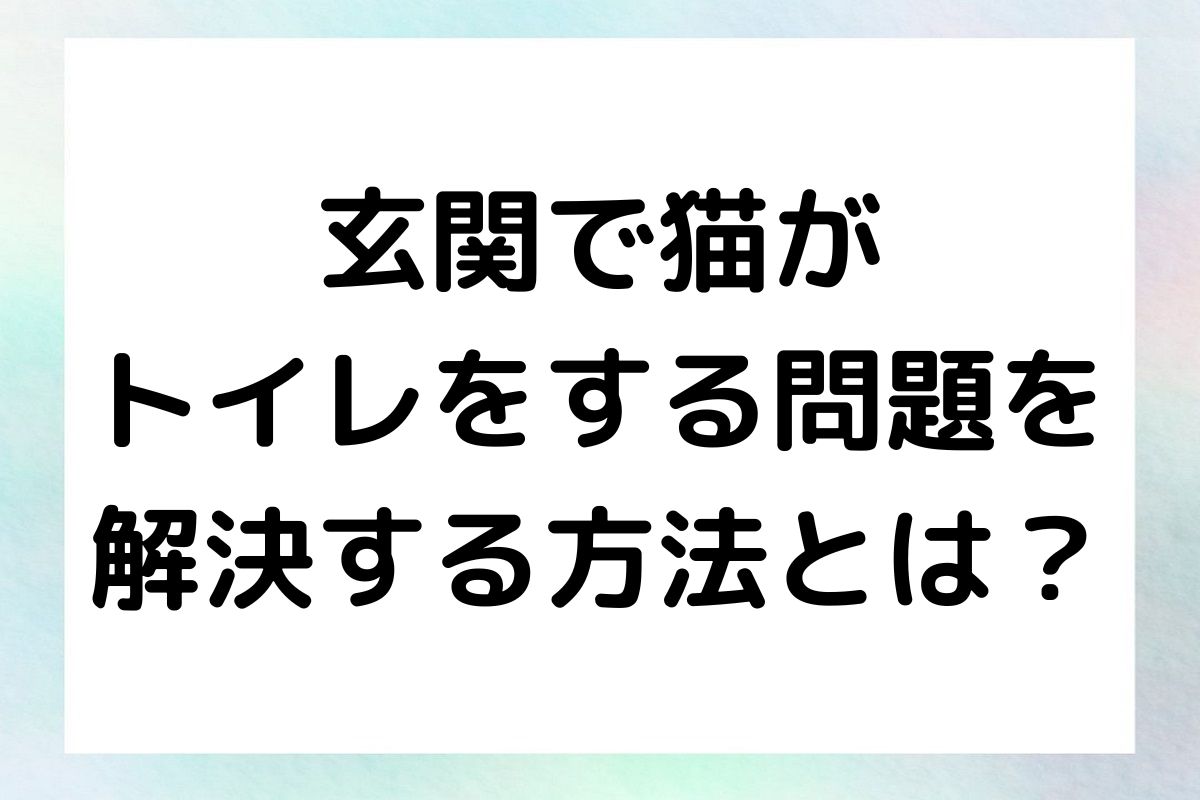 猫が玄関でトイレをしてしまう原因と対策を徹底解説。