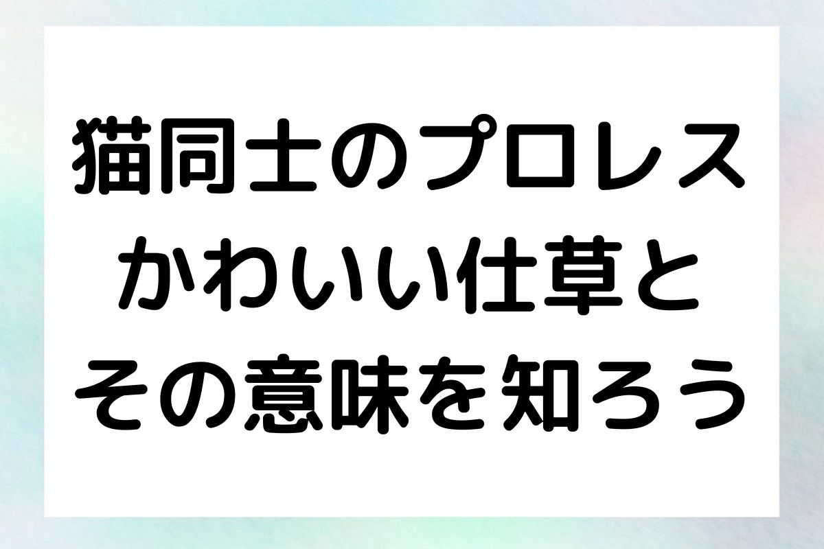 猫同士のプロレスについて、その仕草や意味、そして注意すべきポイントを詳しく解説します。