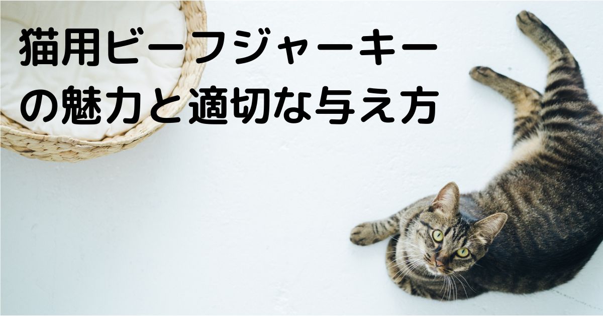 猫用ビーフジャーキーの魅力と適切な与え方