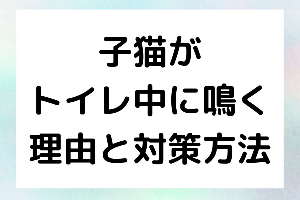 子猫がトイレ中に鳴く原因と対策を詳しく解説します。