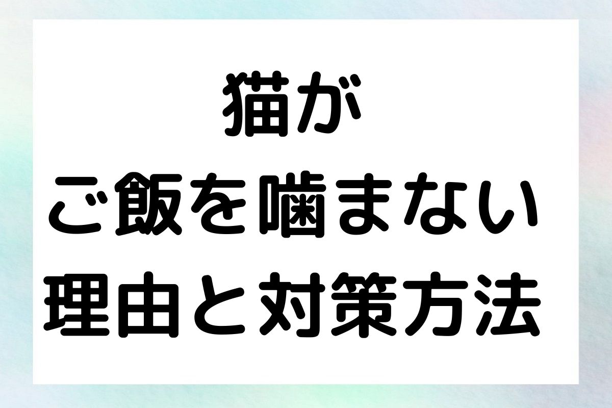 猫がご飯を噛まない原因とその対策方法について詳しく解説します。