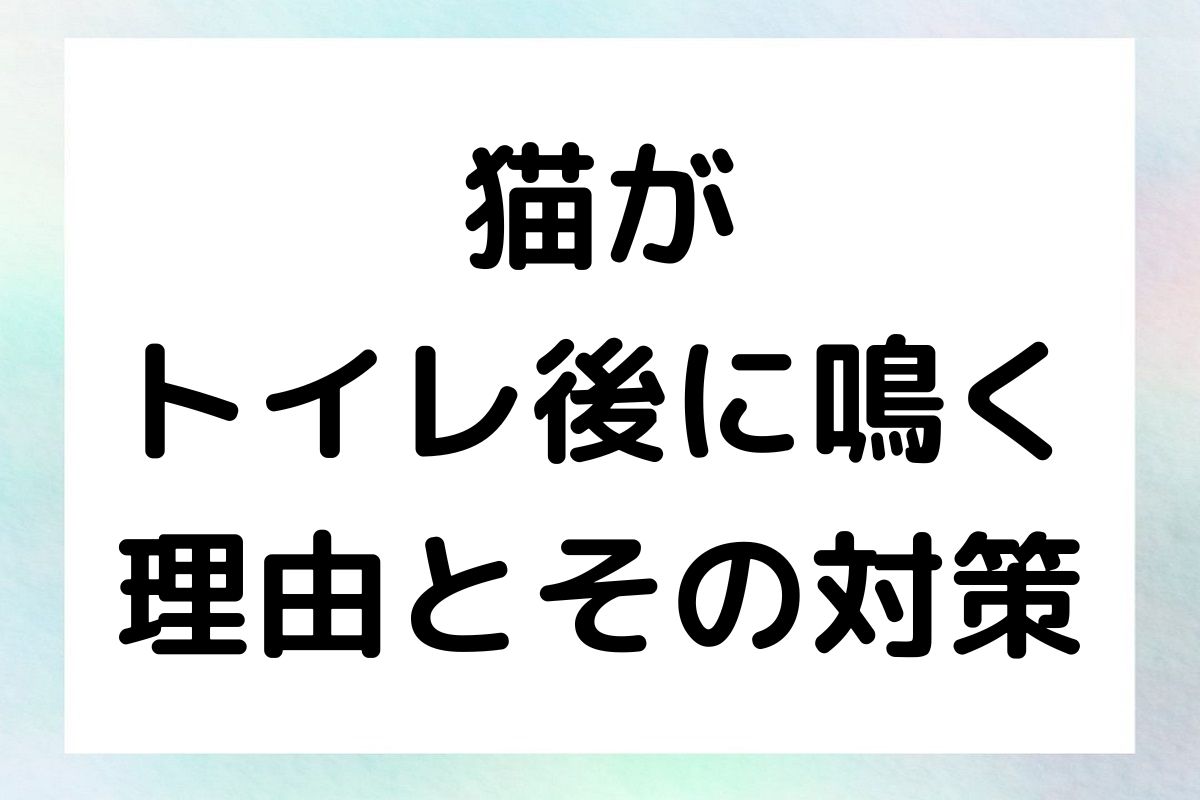 猫がトイレ後に鳴く理由を探り、その対策を紹介します。