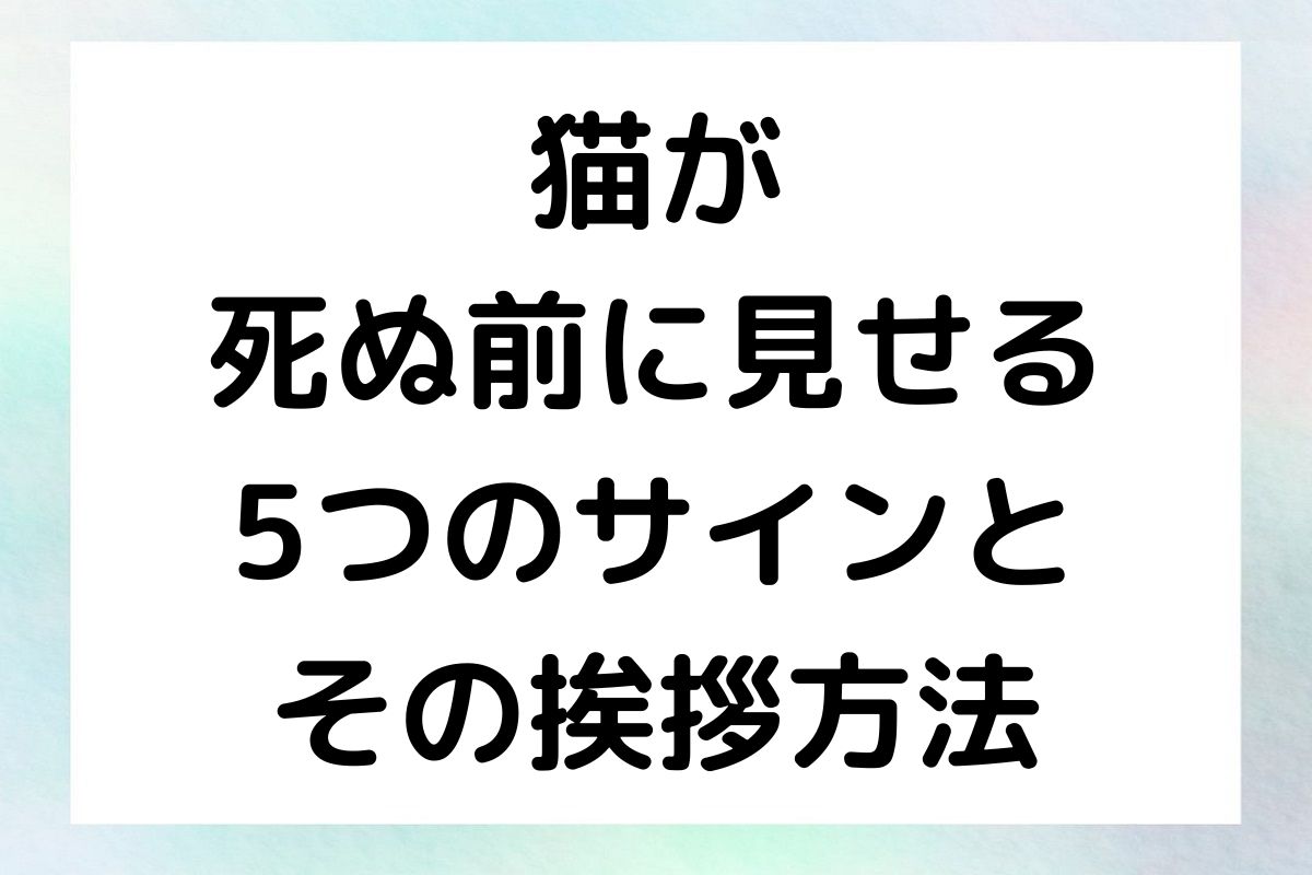 猫が死ぬ前に見せるサインとその時に飼い主が取るべき挨拶方法について解説します。