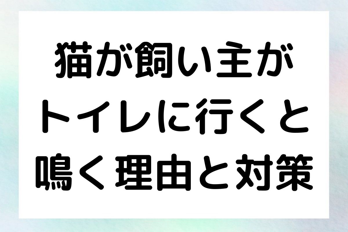 猫が飼い主がトイレに行くと鳴く理由を探り、その対策を紹介します。