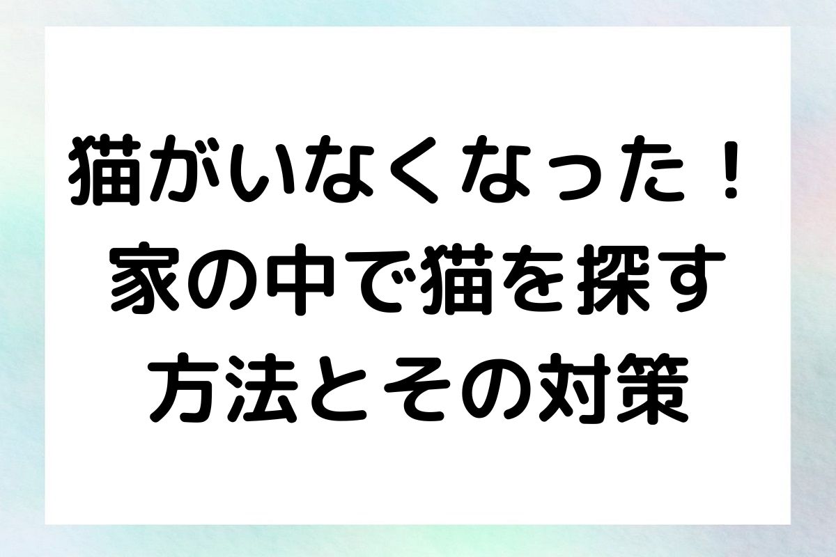 猫を見つけるための具体的なアプローチと、いなくならないようにするための工夫をお伝えします。