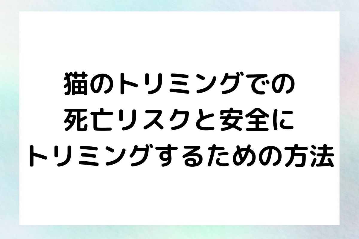 猫のトリミングでの死亡リスクについて詳しく解説し、安全にトリミングを行うための方法をご紹介します。