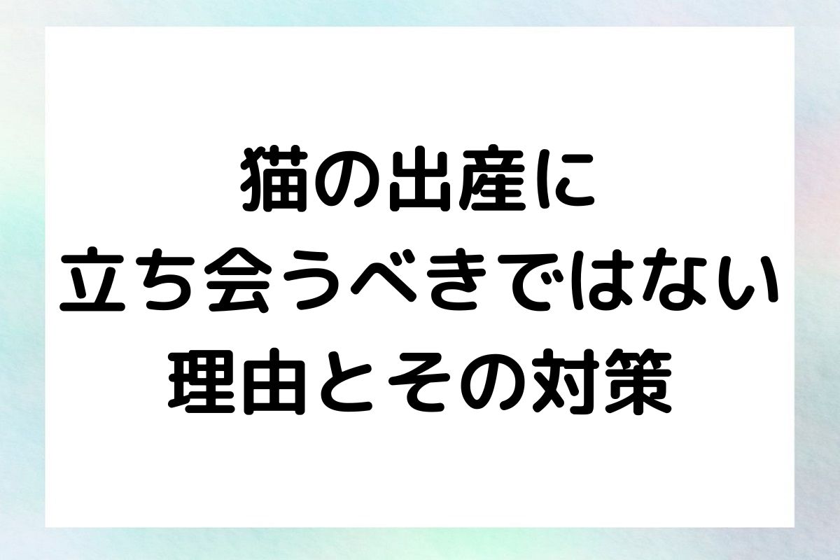 猫が出産する際、立ち会わない方が良いと言われることがあります。