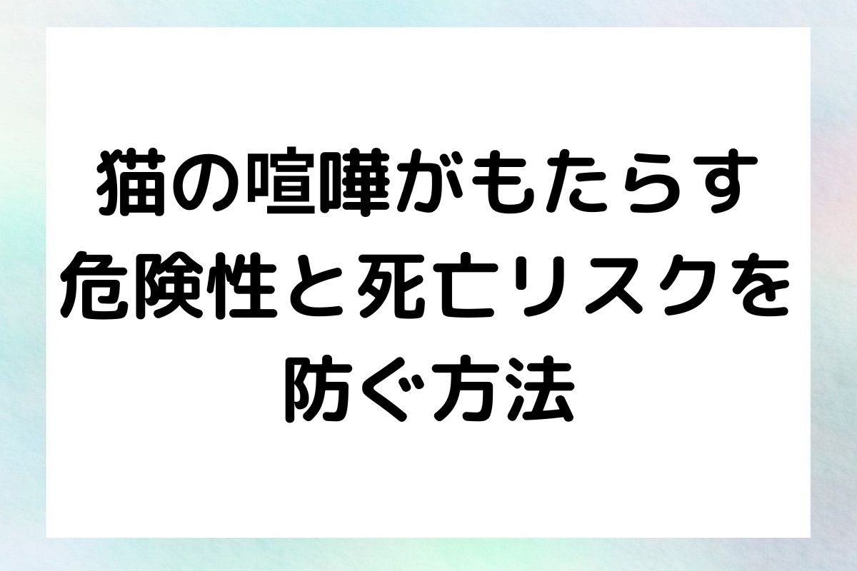 猫の喧嘩がもたらすリスクと、最悪の結果である死亡を防ぐための対策について詳しく解説します。