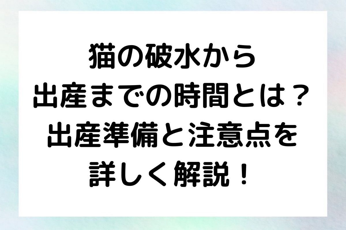 その時間の目安や出産の準備、注意点について詳しく説明します。