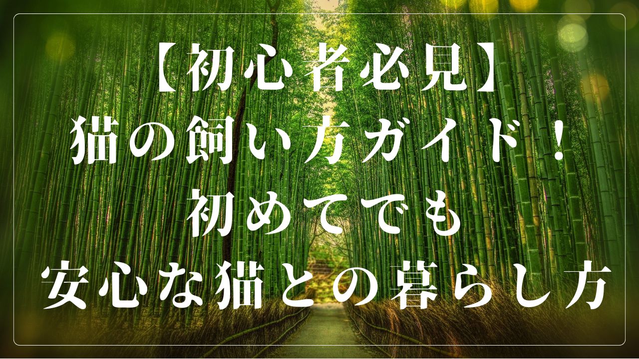 初心者でも簡単に猫を育てるためのポイントや、猫との日常を楽しく過ごす方法をお伝えします。