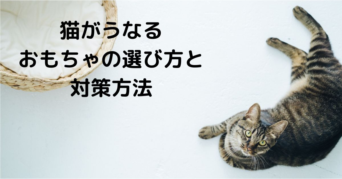 猫がうなる原因とその対策