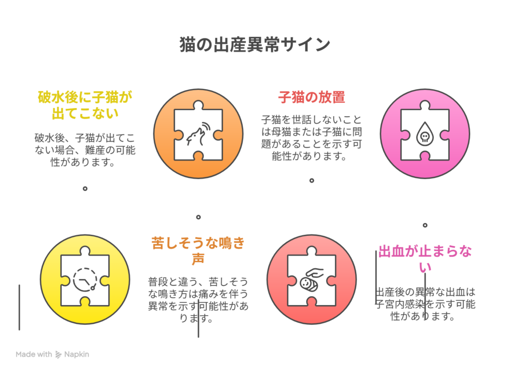 出産時の緊急サインとすぐに動物病院へ行くべきケース