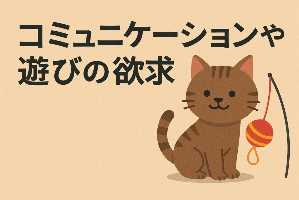 猫がブラッシングで噛む原因③：コミュニケーションや遊びの欲求