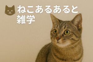 ねこあるあると雑学のカテゴリ画像