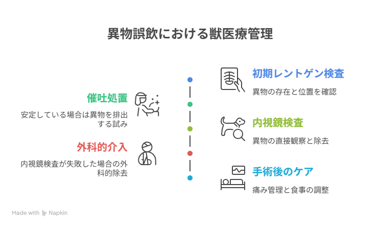 【図解付き】検査と治療の流れ