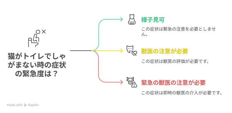 症状別！緊急度チェック