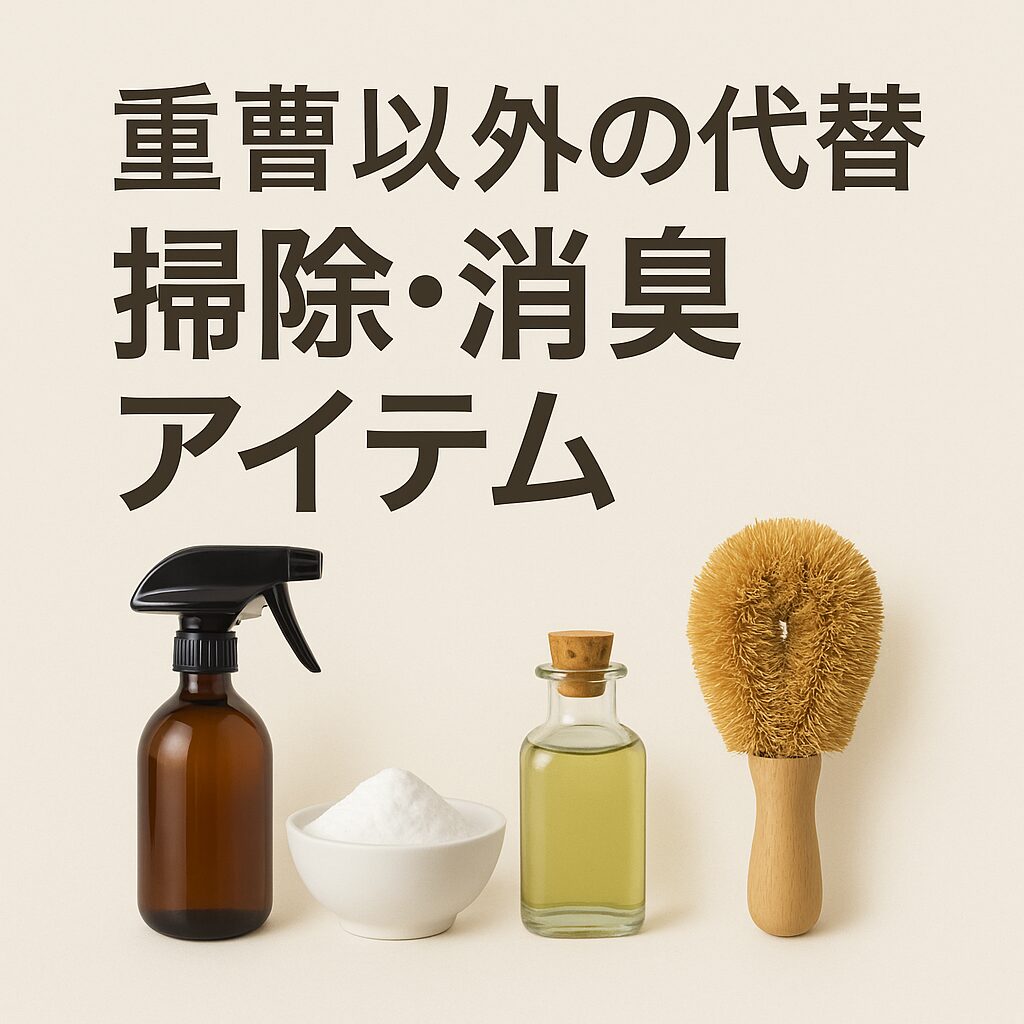 重曹以外 代替 掃除 アイテム