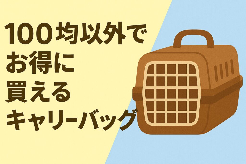 100均以外でお得に買えるキャリーバッグ