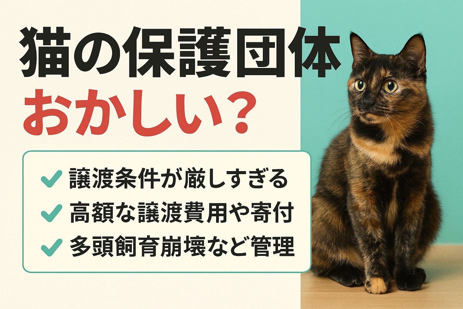 猫 保護団体がおかしいと言われる理由と注意点