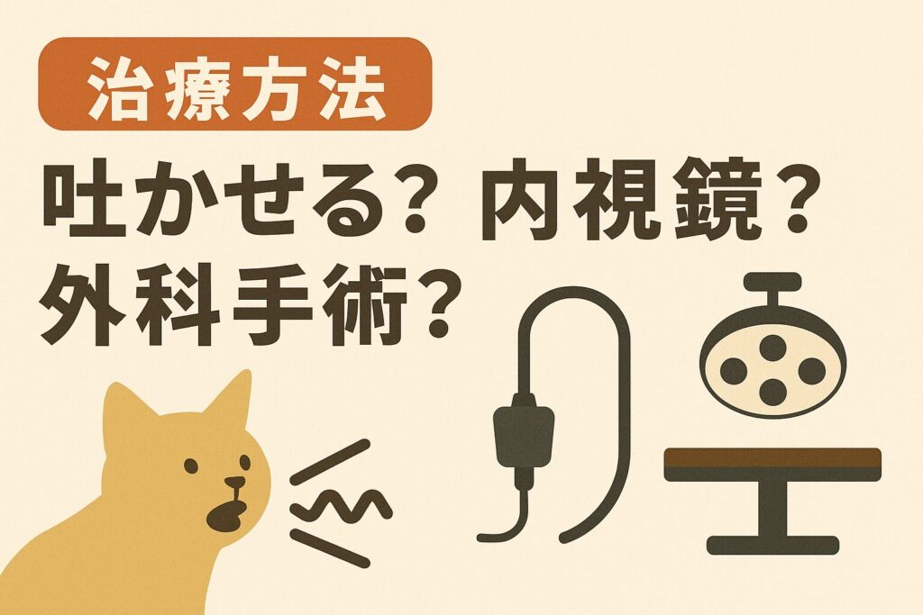 猫 誤飲 治療法