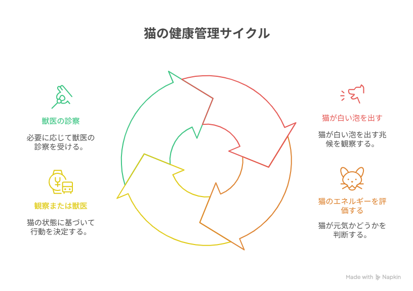 動物病院に行くべきか迷ったときのチェックポイント