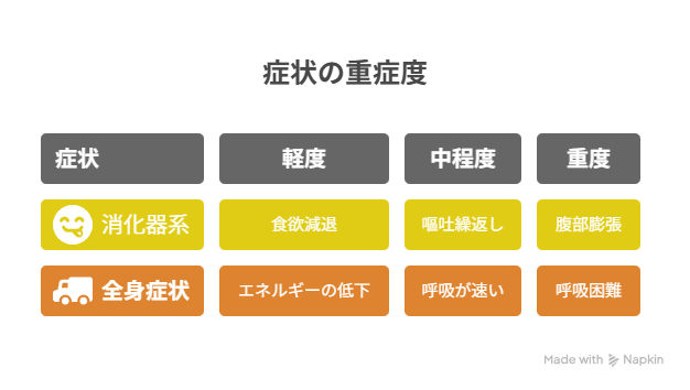 猫がフェルトボールを誤飲したときに見られる主な症状
