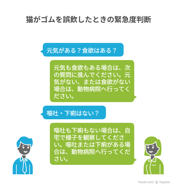 猫が輪ゴム・ヘアゴム・太いゴムを誤飲したらまずどうする?緊急度の判断と初期対応